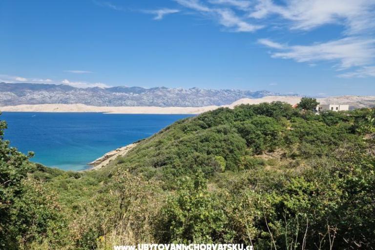 Villa Panama – photo 3