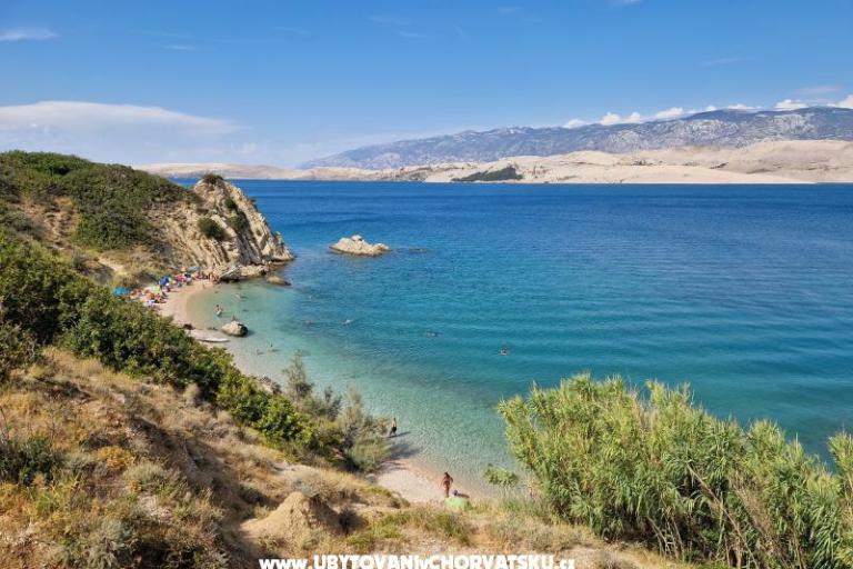 Villa Panama – photo 7