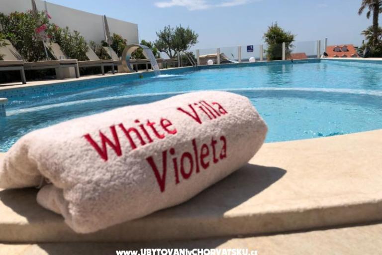 White Villa Violeta – photo 2