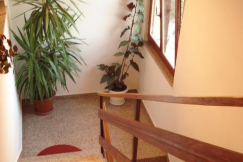 Aparmani Žile – photo 2