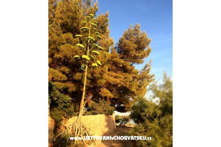 Apartments Marin – photo 16