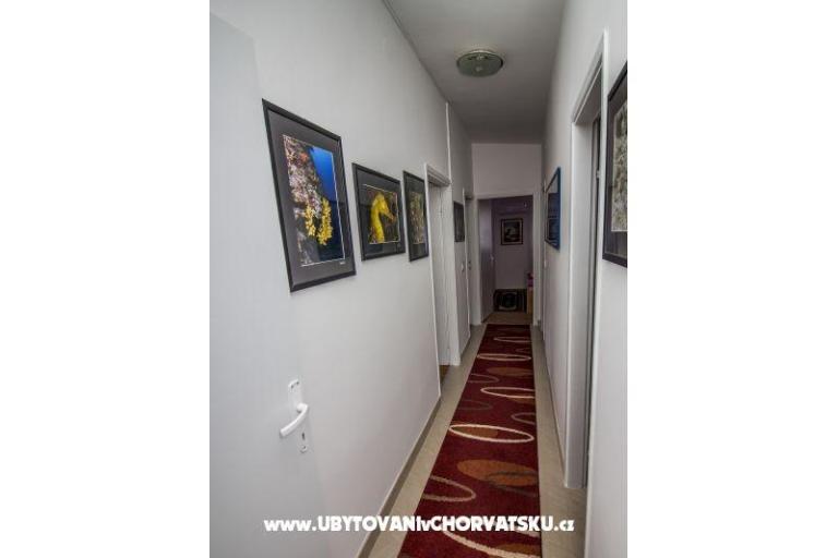 Apartments Irena – photo 10