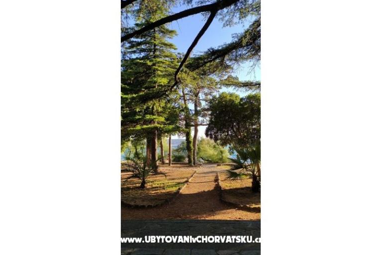 Apartments Luka &amp; Lea – photo 14