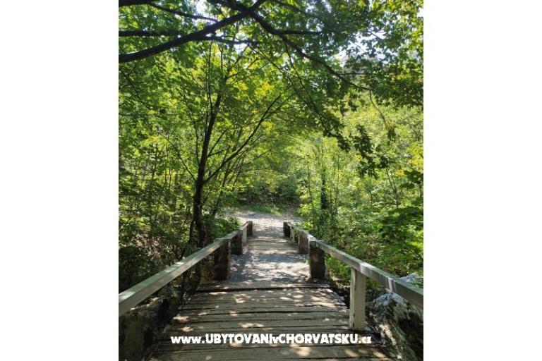 Apartments Luka &amp; Lea – photo 15