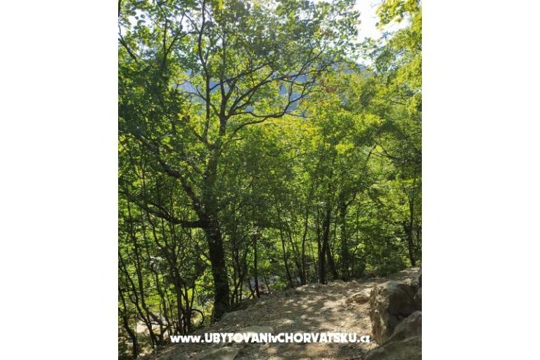 Apartments Luka &amp; Lea – photo 16