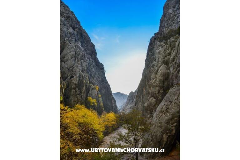 Apartments Luka &amp; Lea – photo 17