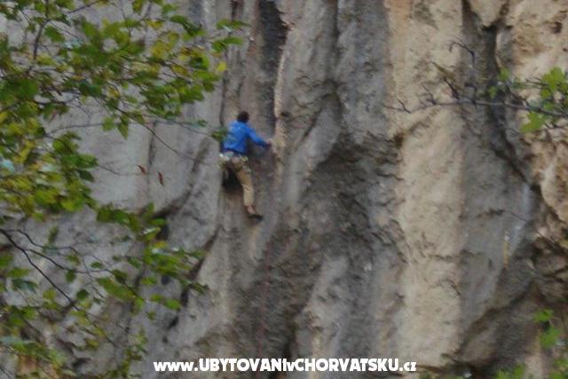 Apartment – photo 16