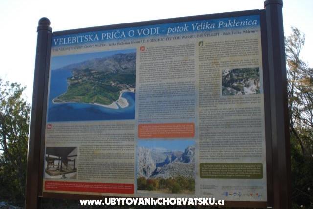 Apartment – photo 8