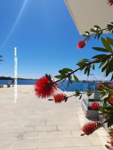 Apartments Tomic – photo 10