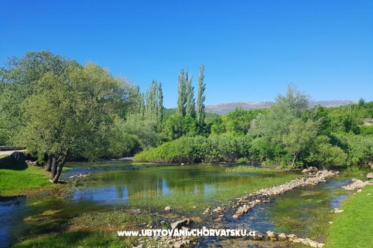 Apartments Tomic – photo 3