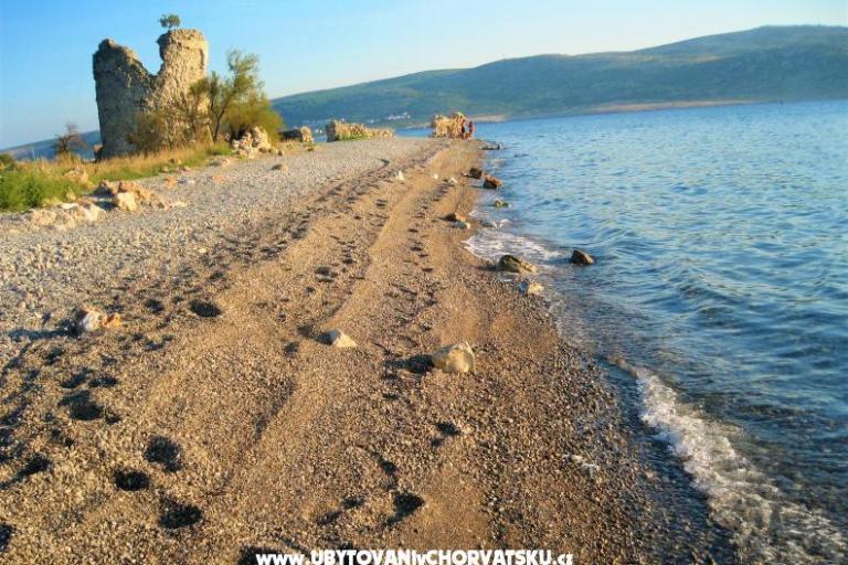 Apartments Danica - near beach – photo 8