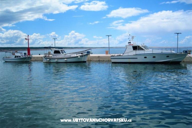 Apartments Danica - near beach – photo 9