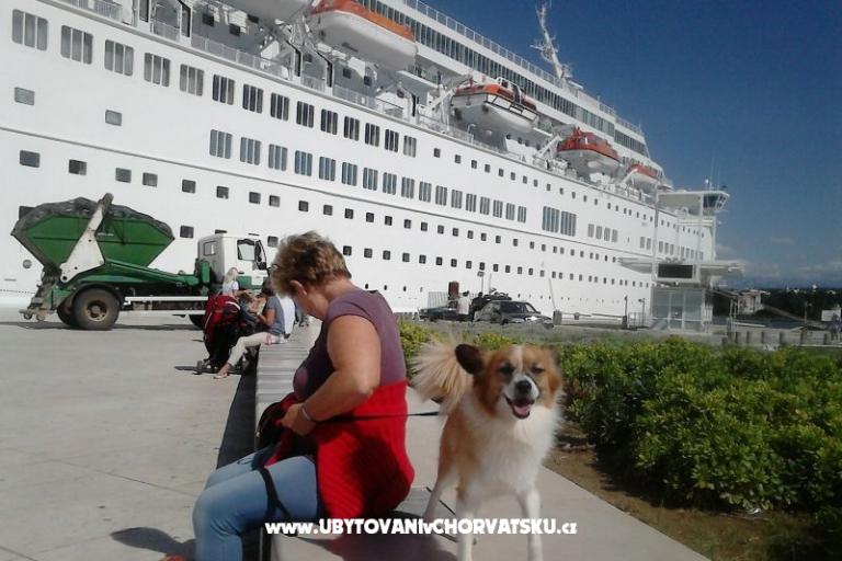 Aurora Apartments – photo 11