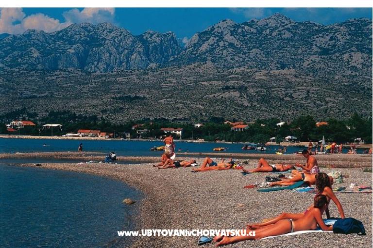 Aurora Apartments – photo 13