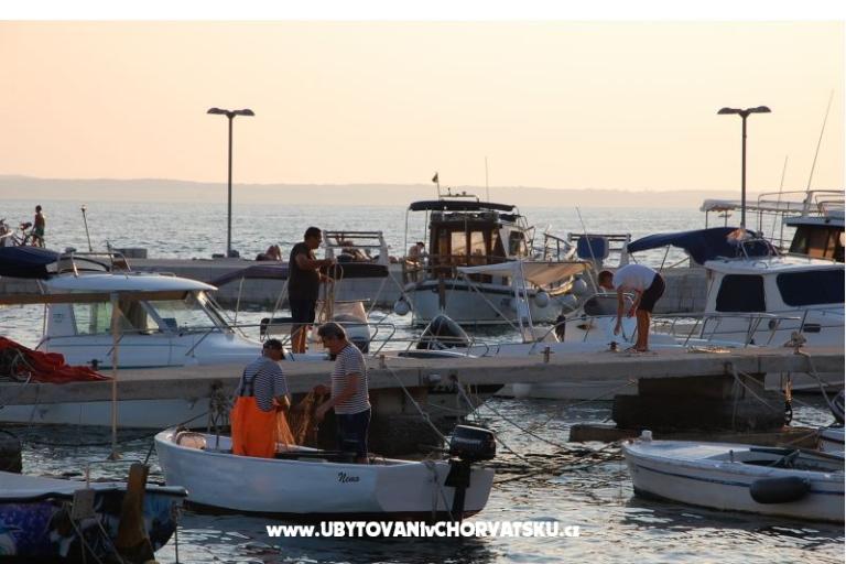 Aurora Apartments – photo 14