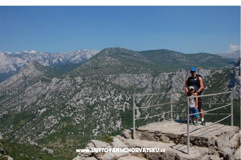 Aurora Apartments – photo 16