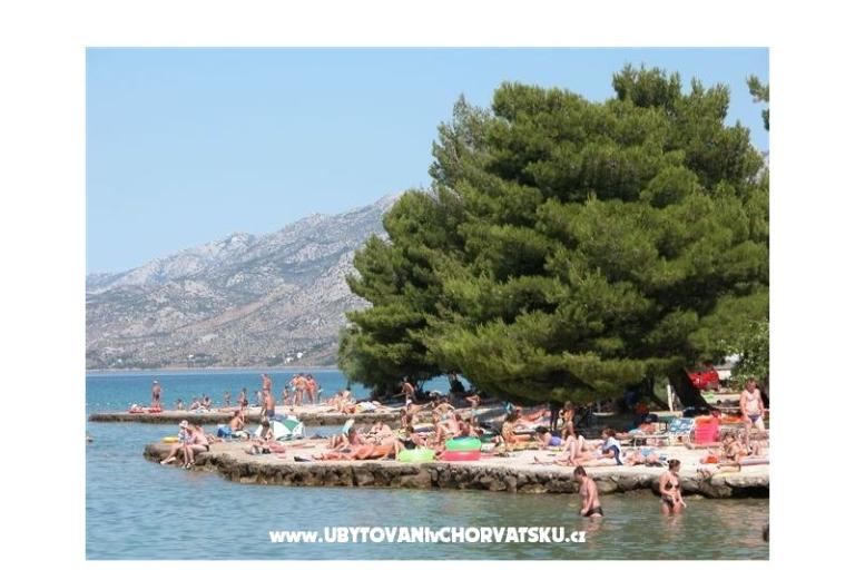 Aurora Apartments – photo 5