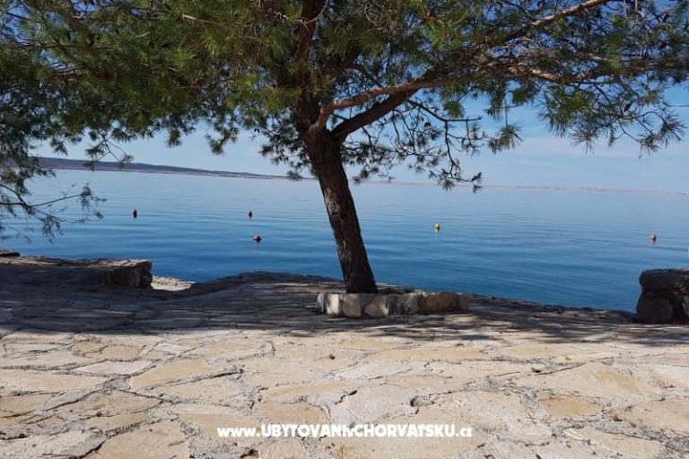 Apartments Bosi i Goli – photo 15