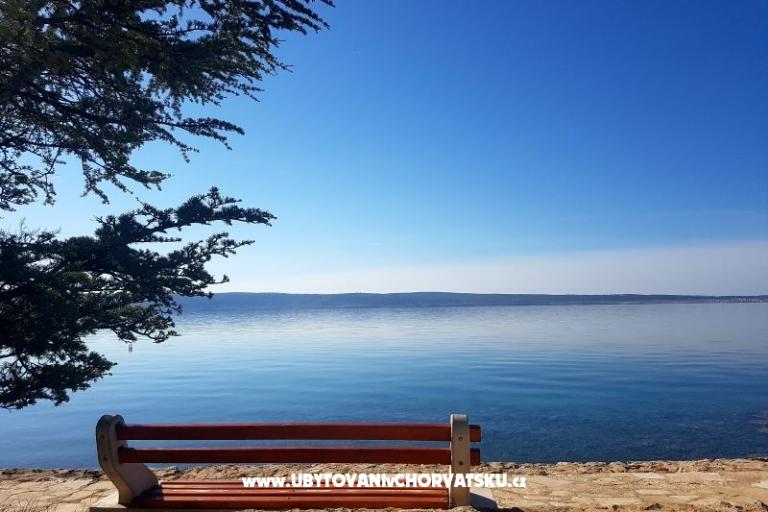 MALA LAGUNA – photo 12