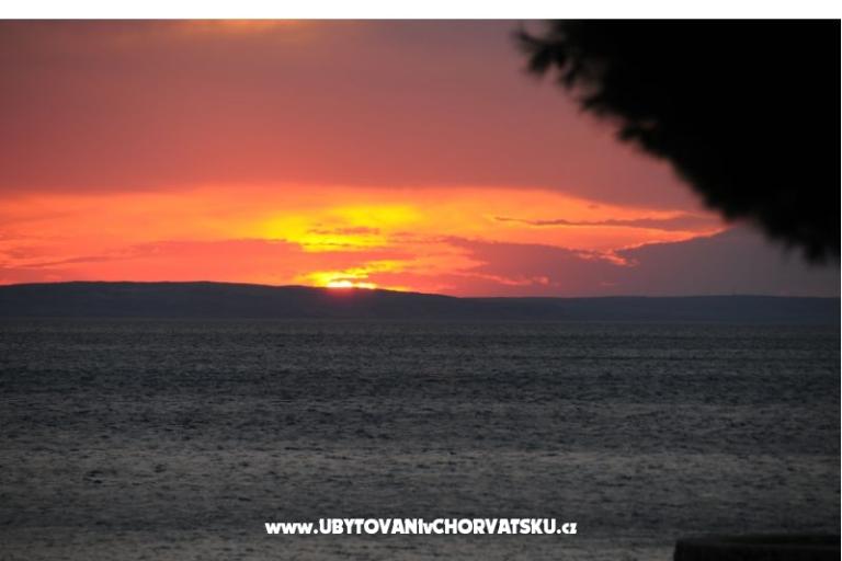 Pansion Ivan – photo 16