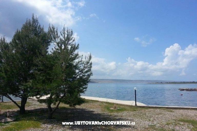 Pansion Marko – photo 7