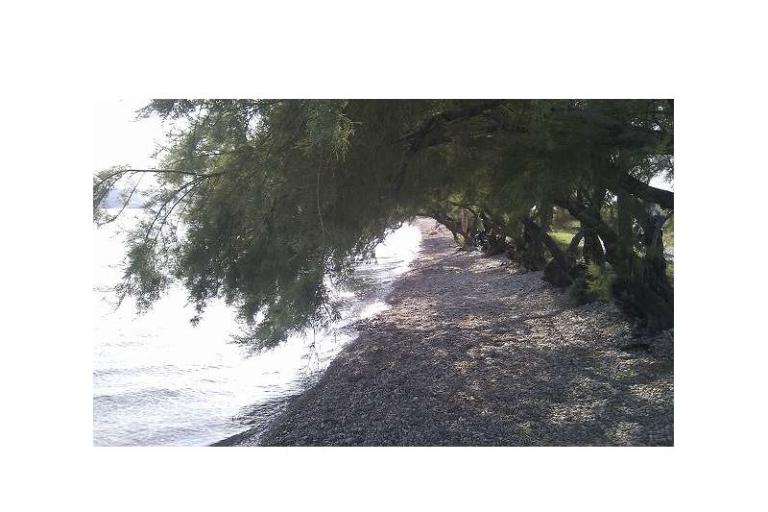 Vila Seline – photo 8