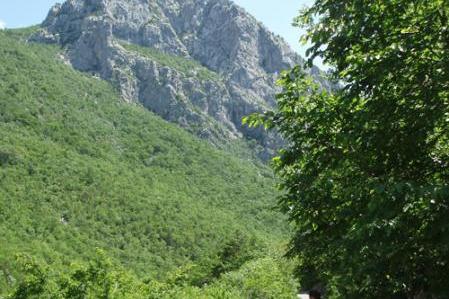 Villa Mirta – photo 13