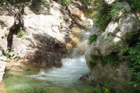 Villa Mirta – photo 14