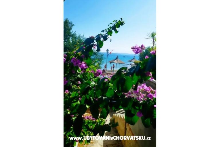 Apartments Bonaca – photo 11