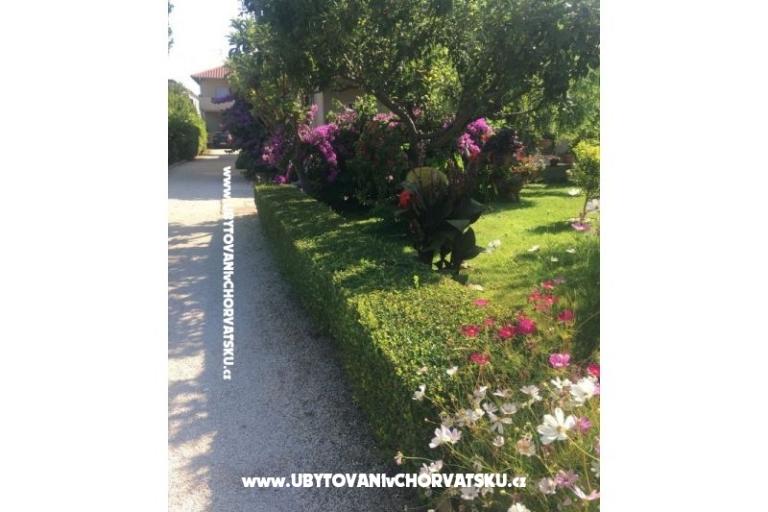 Apartments Jasa  – photo 10