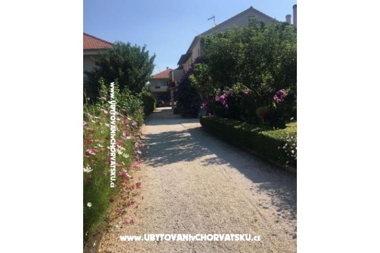 Apartments Jasa  – photo 11