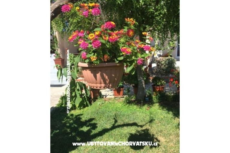 Apartments Jasa  – photo 15