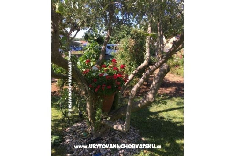 Apartments Jasa  – photo 16