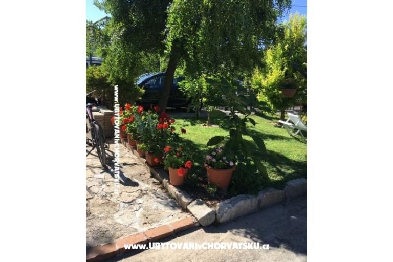 Apartments Jasa  – photo 18