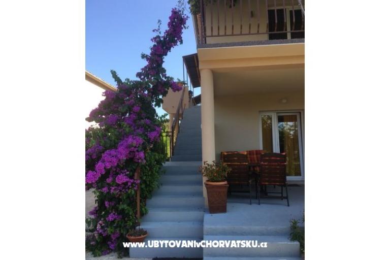 Apartments Jasa  – photo 2