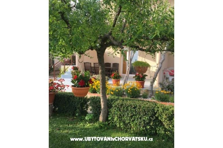 Apartments Jasa  – photo 3