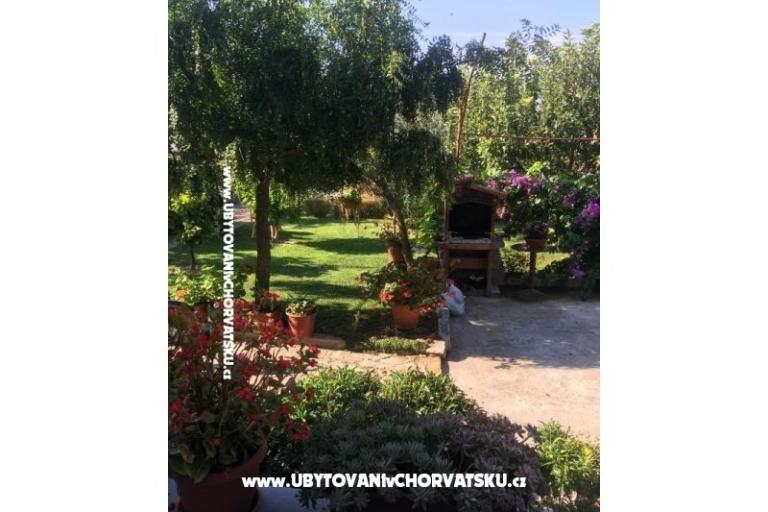 Apartments Jasa  – photo 6