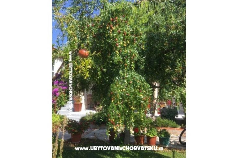 Apartments Jasa  – photo 7