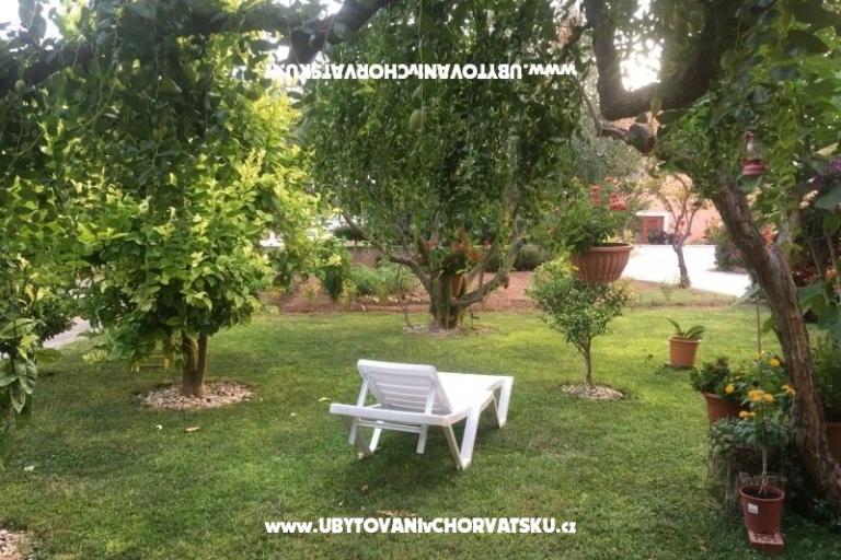 Apartments Jasa  – photo 8