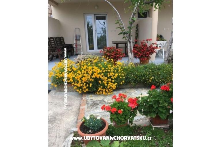 Apartments Jasa  – photo 9