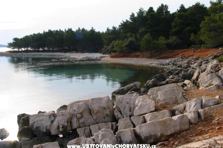 Apartments Lorena – photo 6