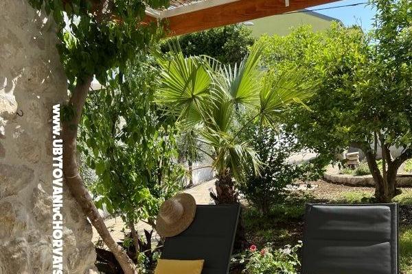 Apartments Ksenija – photo 4