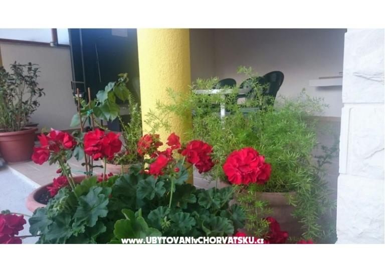 Apartments Lucija – photo 6