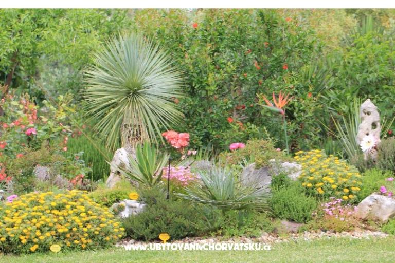 Apartments Mamić – photo 11