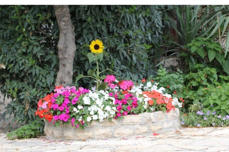 Apartments Mamić – photo 17