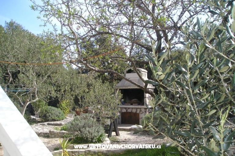 Apartments Mario – photo 7