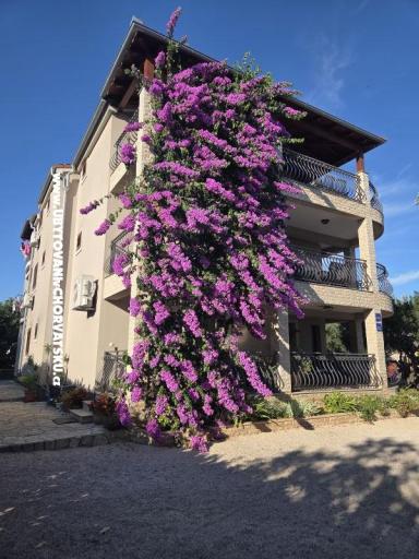 Apartments Silvija – photo 19