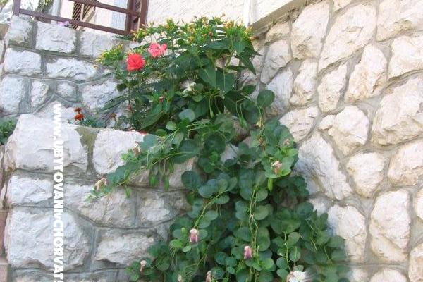 Apartments Šimun – photo 10