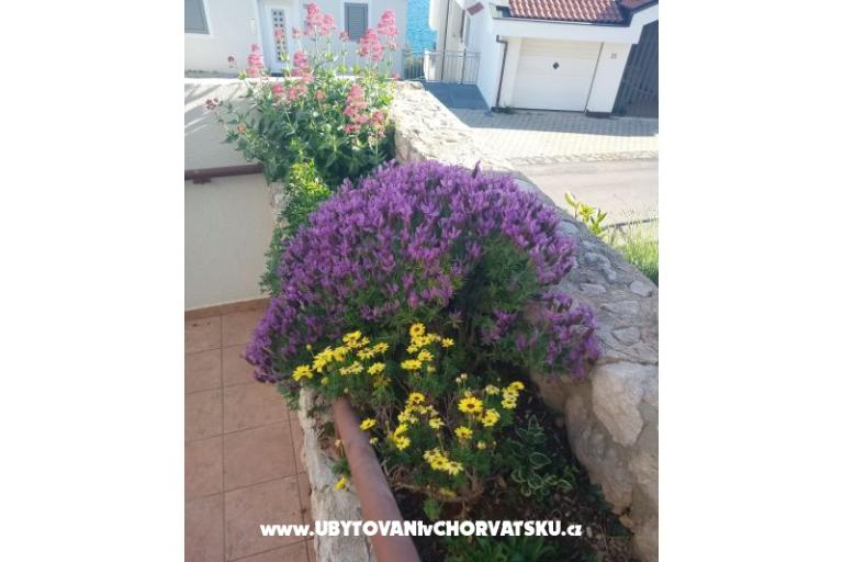 Apartments Šimun – photo 11