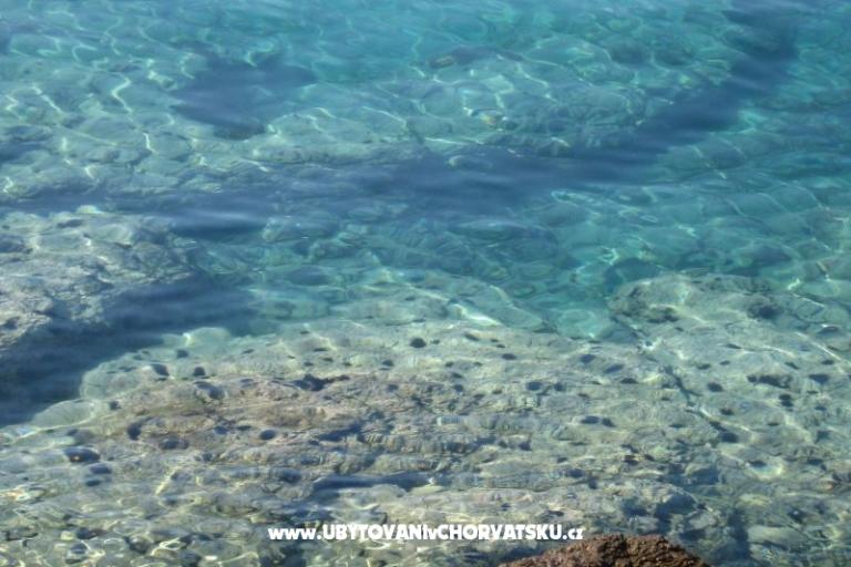 Apartments Šimun – photo 19